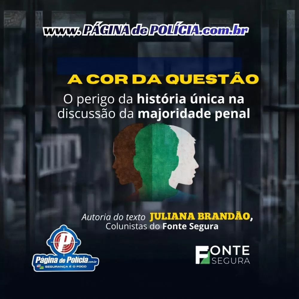 O perigo da história única na discussão da maioridade penal