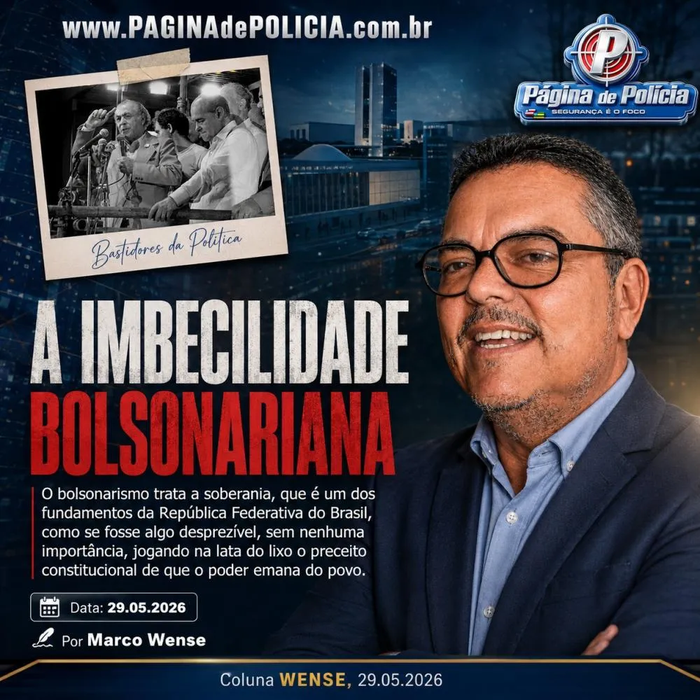 A IMBECILIDADE BOLSONARIANA