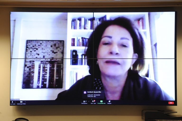 Jurema Machado, ex-presidente do Iphan - (Foto: Gustavo Sales/Câmara dos Deputados)