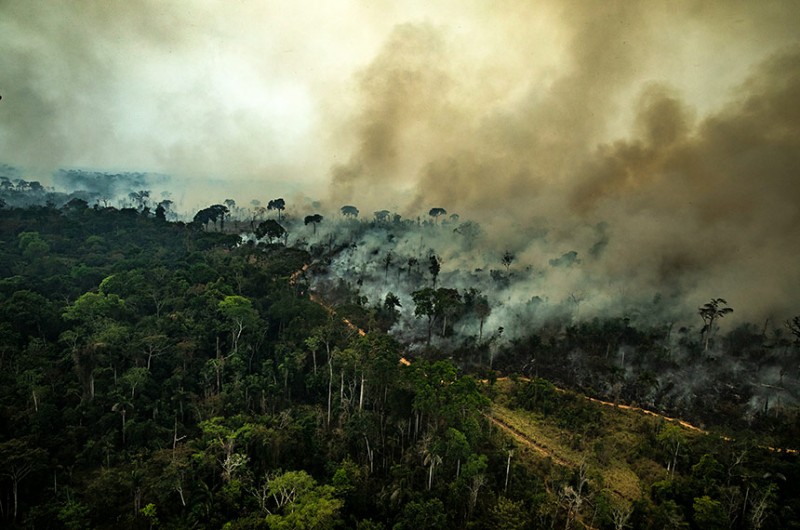 Plenário debate na sexta (10) os resultados do Painel Intergovernamental sobre Mudanças Climáticas (IPCC, em inglês) - Victor Moriyama/Greenpeace