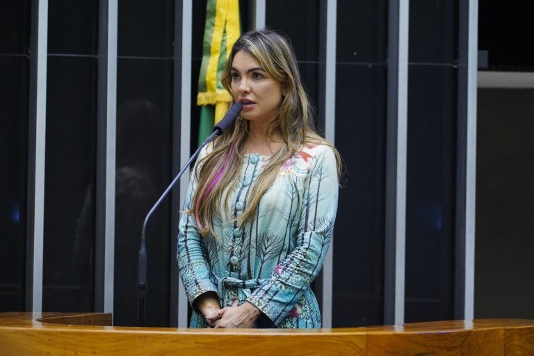 Paula Belmonte disse que proposta dá segurança jurídica, principalmente para o setor atacadista - (Foto: Pablo Valadares/Câmara dos Deputados)