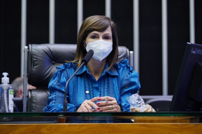Professora Dorinha: acreditamos que uma política será bastante positiva - (Foto: Pablo Valadares/Câmara dos Deputados)