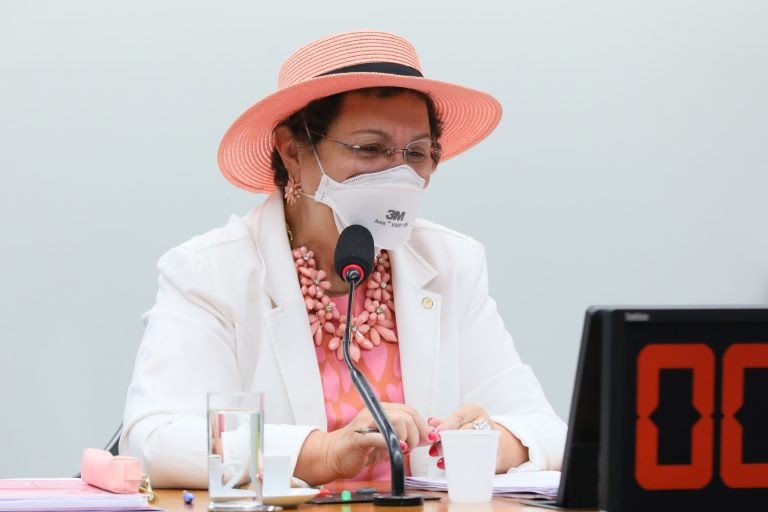 Tereza Nelma: população idosa LGBTI+ sofre dupla discriminação - (Foto: Najara Araujo/Câmara dos Deputados)
