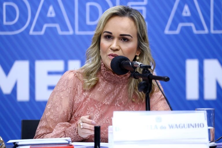 Daniela recomendou a aprovação do projeto com alterações - (Foto: Vinicius Loures/Câmara dos Deputados)