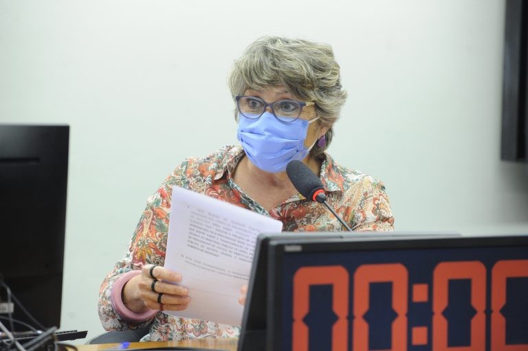 Para Erika Kokay, o selo é um “incentivo positivo” aos empregadores - (Foto: Gustavo Sales/Câmara dos Deputados)