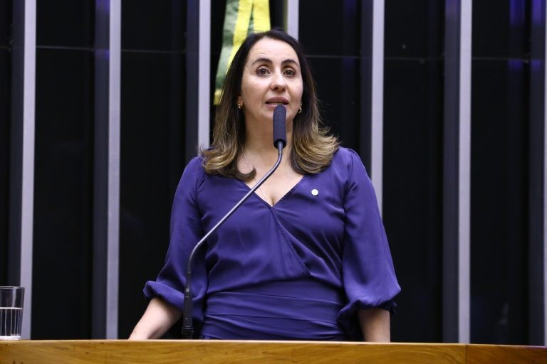 Adriana Ventura concordou com o texto aprovado na comissão anterior - (Foto: Najara Araújo/Câmara dos Deputados)