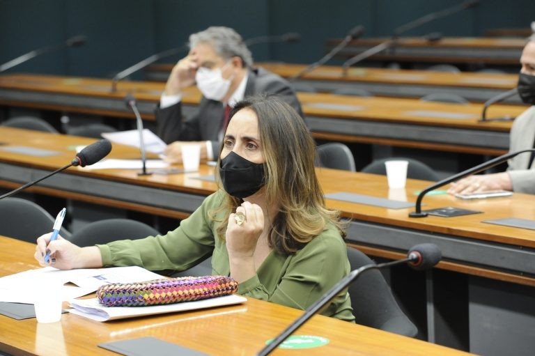 Adriana Ventura acolheu texto aprovado na Comissão de Desenvolvimento Econômico - (Foto: Gustavo Sales/Câmara dos Deputados)