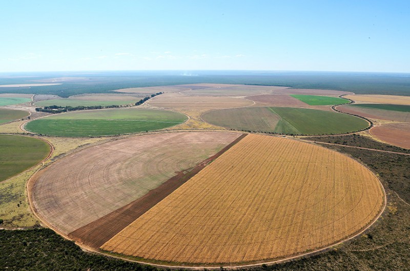 Isac Nóbrega/PR