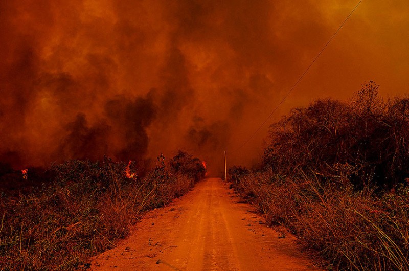Queimadas no Pantanal motivaram funcionamento de comissão externa no ano passado; proteção do bioma ganha subcomissão permanente no âmbito da Comissão de Meio Ambiente - Mayke Toscano/Secom-MT