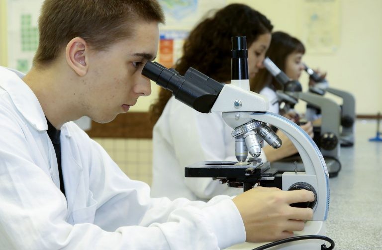 O ensino profissional prepara os estudantes para o mercado de trabalho - (Foto: Jaelson Lucas/Agência de Notícias do Paraná)