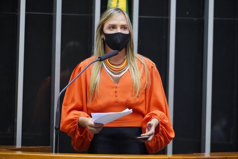 Celina Leão: medida fundamental para garantir segurança nos estádios - (Foto: Pablo Valadares/Câmara dos Deputados)