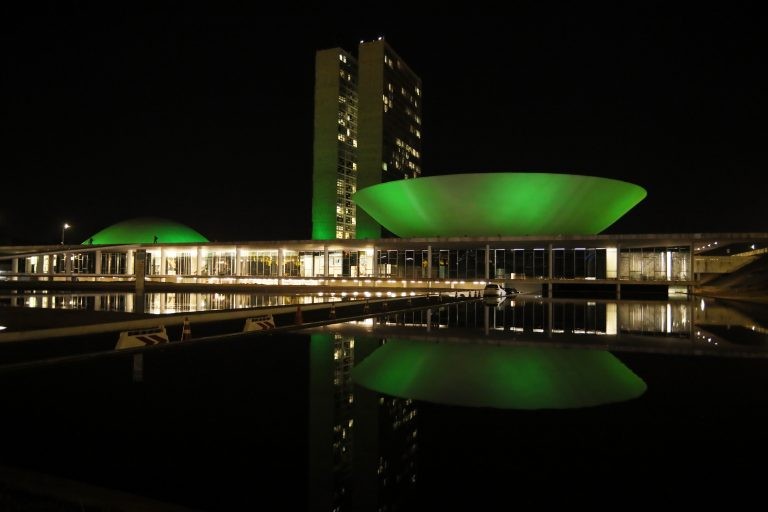 Congresso Nacional iluminado de verde - (Foto: Najara Araujo/Câmara dos Deputados)