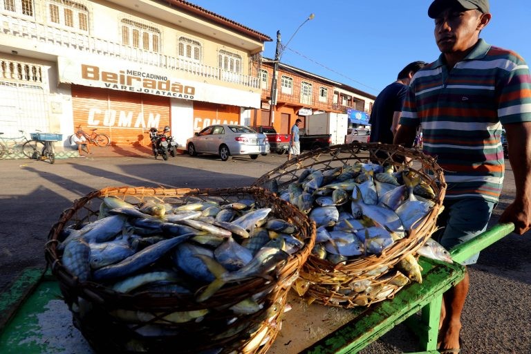 Deputado quer debater a proteção aos pescadores afetados - (Foto: Sidney Oliveira/Agência Pará)