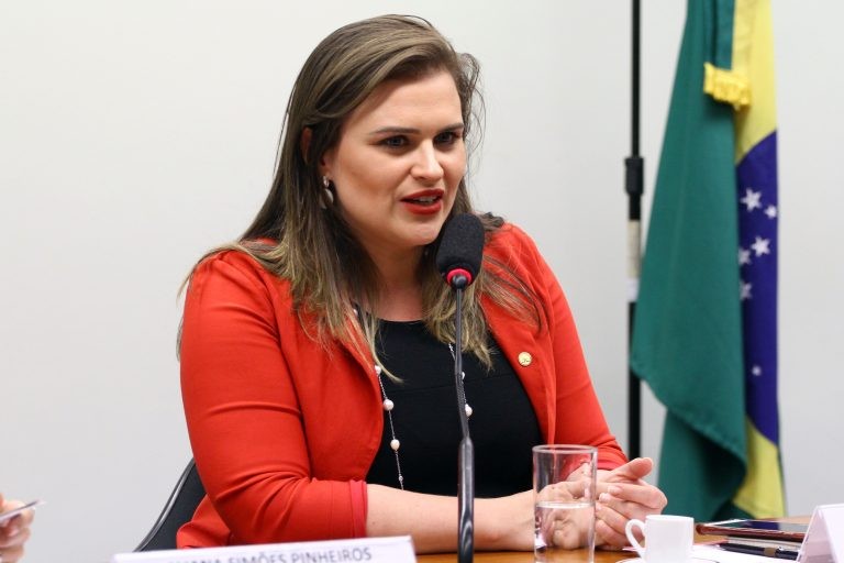 Marília Arraes: prêmio é reconhecimento justo pelo trabalho que desenvolvem - (Foto: Vinicius Loures/Câmara dos Deputados)
