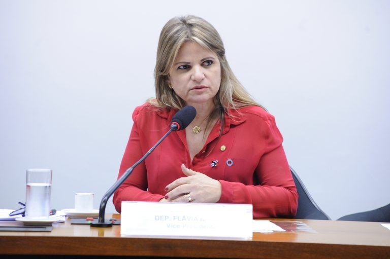 Flávia Morais sugeriu a aprovação do texto com mudanças - (Foto: Cleia Viana/Câmara dos Deputados)