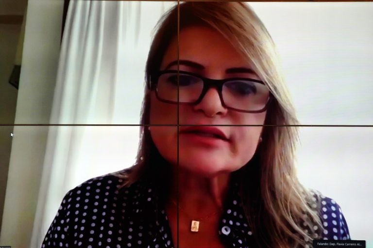 Flávia Morais recomendou a aprovação da medida - (Foto: Will Shutter/Câmara dos Deputados)