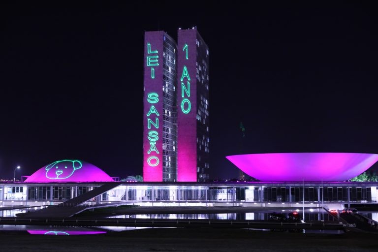 A chamada Lei Sansão completou primeiro aniversário - (Foto: Najara Araújo/Câmara dos Deputados)