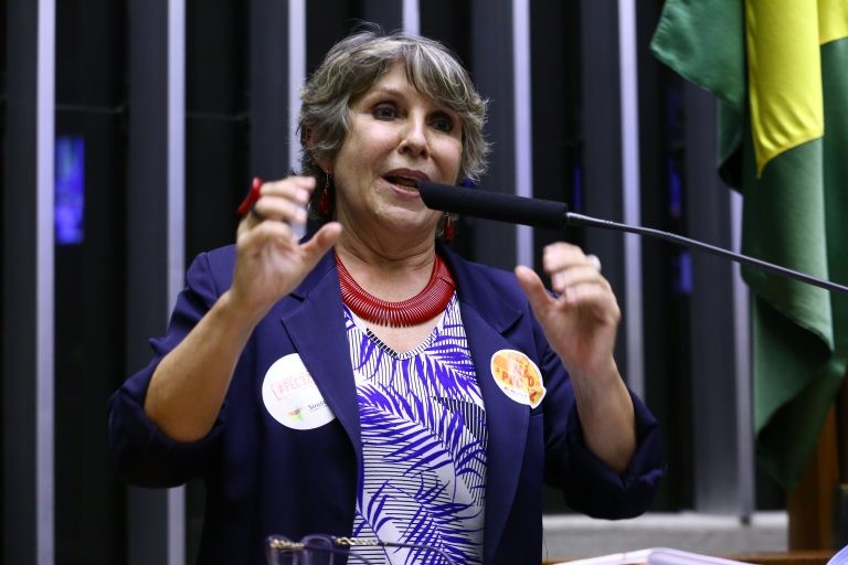 Erika Kokay propôs o debate na Comissão de Cultura - (Foto: Cleia Viana/Câmara dos Deputados)