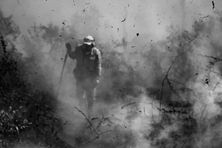 Queimada no Pantanal em outubro do ano passado - (Foto: Divulgação)