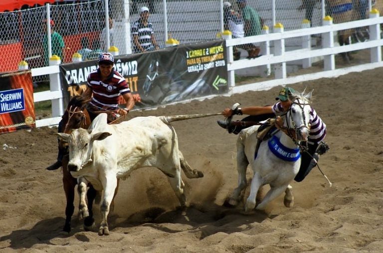 A vaquejada é considerada uma manifestação cultural no Brasil - (Foto: Tatiana Azeviche/Governo da Bahia)