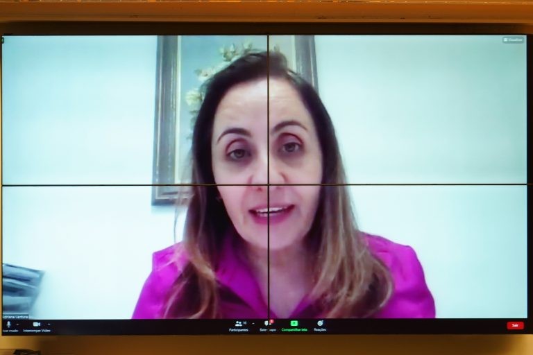 Adriana Ventura: projeto trata dos locais de venda e não da segurança dos medicamentos - (Foto: Pablo Valadares/Câmara dos Deputados)