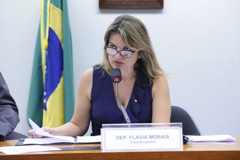 Deputada Flávia Morais: projeto permite maior eficiência nos gastos públicos - (Foto: Cleia Viana/Câmara dos Deputados)