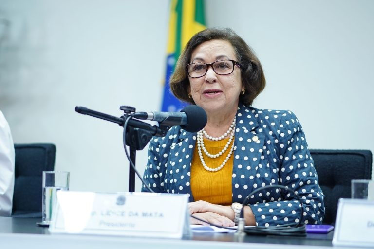 Lídice da Mata: é essencial destinar mais recursos às culturas afroindígenas - (Foto: Pablo Valadares/Câmara dos Deputados)