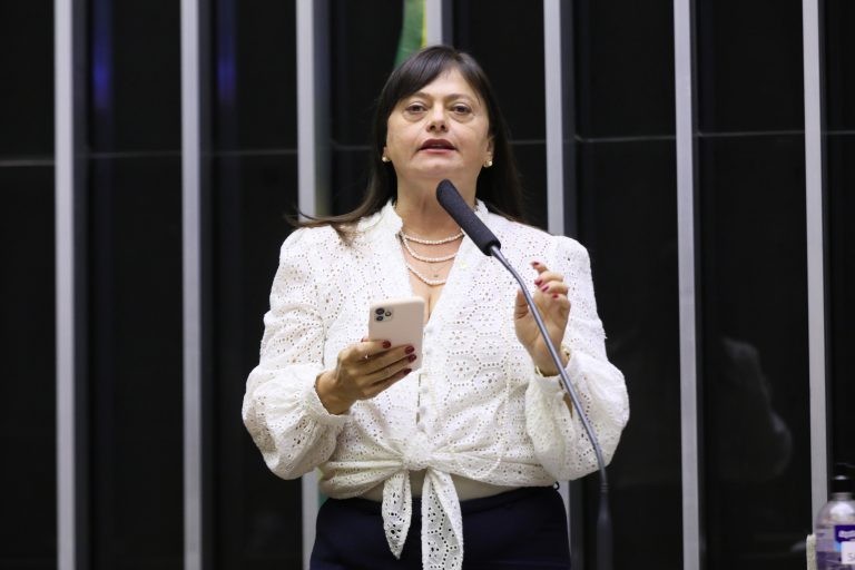Alice Portugal apontou diferença entre número de alunos em sala por região brasileira - (Foto: Michel Jesus/Câmara dos Deputados)