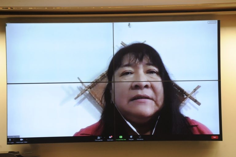 Joenia Wapichana: comunidades indígenas protegem 27% das florestas - (Foto: Gustavo Sales/Câmara dos Deputados)