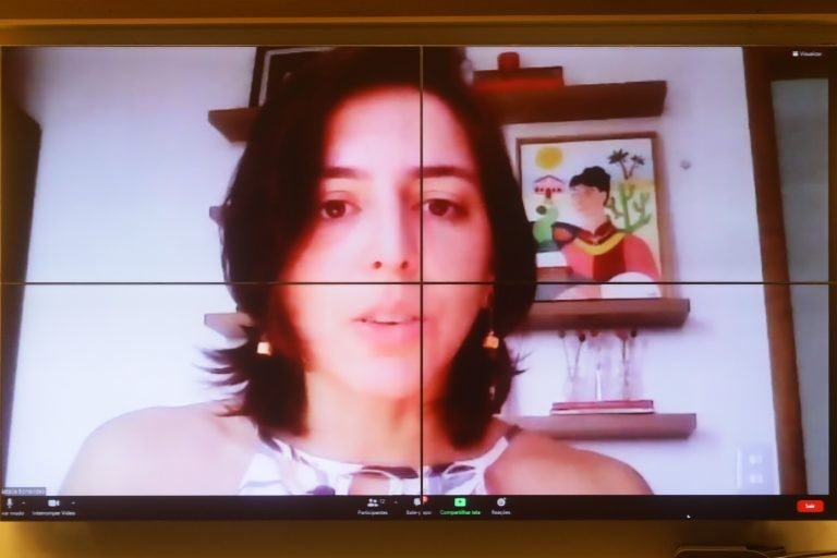 Natália Bonavides: Código de Trânsito já promove programas educativos - (Foto: Cleia Viana/Câmara dos Deputados)