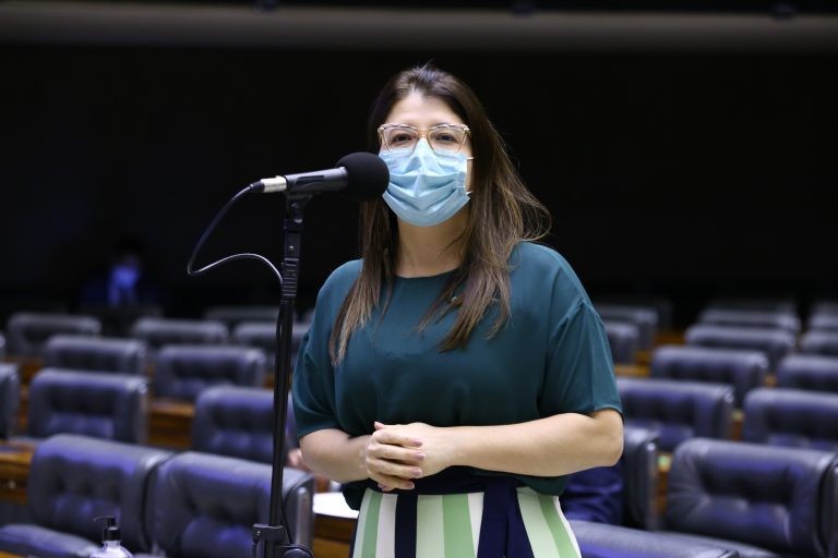 Carla Dickson é relatora da proposta - (Foto: Najara Araujo/Câmara dos Deputados)