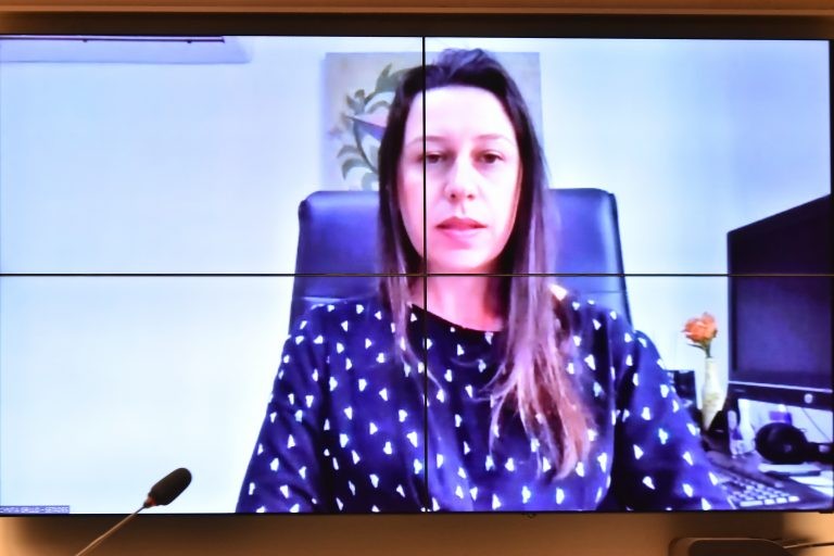 Cyntia Grillo criticou queda progressiva do orçamento do Suas - (Foto: Reila Maria/Câmara dos Deputados)