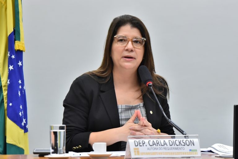 Carla Dickson: intenção é dar uma família a crianças que estão esperando - (Foto: Reila Maria/Câmara dos Deputados)