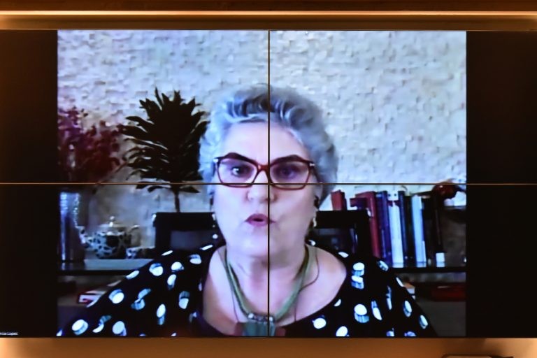 Márcia Lopes: medida provisória extingue programa consolidado de segurança alimentar - (Foto: Reila Maria/Câmara dos Deputados)