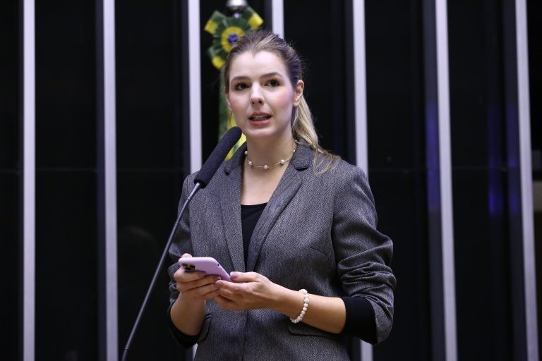 Luisa Canziani se comprometeu com a busca pelo acesso da população à internet - (Foto: Maryanna Oliveira/Câmara dos Deputados)