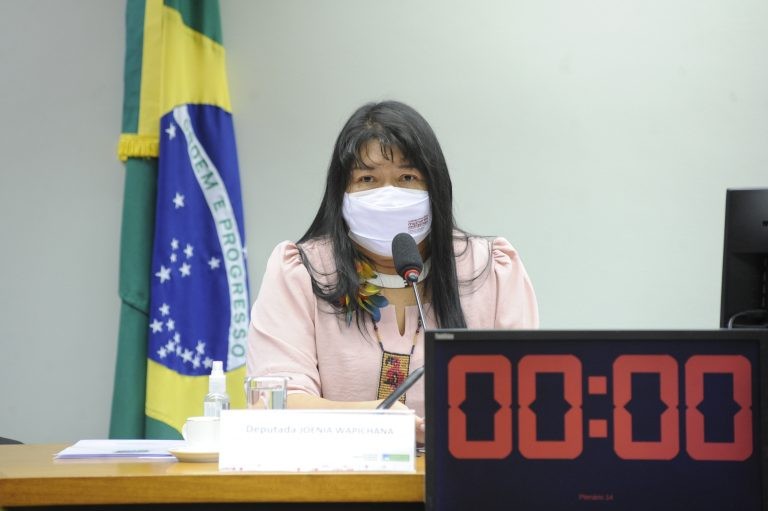 Joenia Wapichana reuniu duas propostas em um substitutivo - (Foto: Gustavo Sales/Câmara dos Deputados)