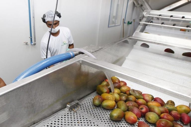 Grupo estuda contexto atual do mercado de trabalho - (Foto: Fernando Vivas/GOVBA)