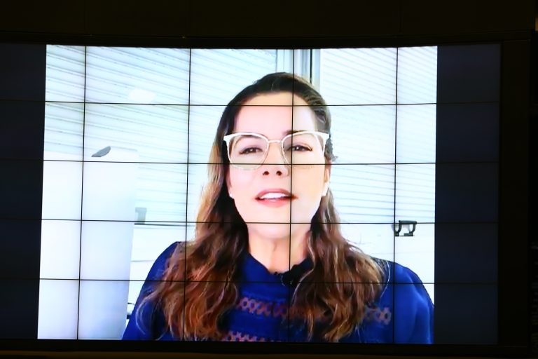 Deputada Mara Rocha, relatora do projeto de lei - (Foto: Najara Araujo/Câmara dos Deputados)