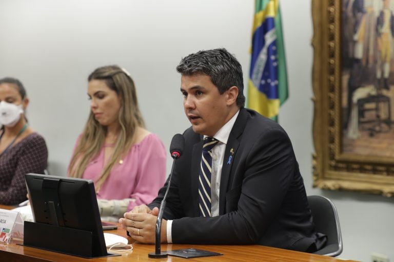Paula Belmonte, vice-presidente da subcomissão, e Diego Garcia, relator - (Foto: Paulo Sérgio/Câmara dos Deputados)