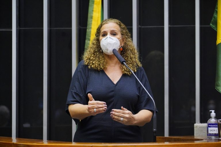 Jandira: primeiro ponto da pauta é recuperar o Ministério da Cultura - (Foto: Pablo Valadares/Câmara dos Deputados)