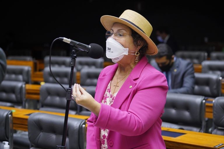 Tereza Nelma: uma em cada cinco meninas relata ter sofrido violência sexual - (Foto: Pablo Valadares/Câmara dos Deputados)