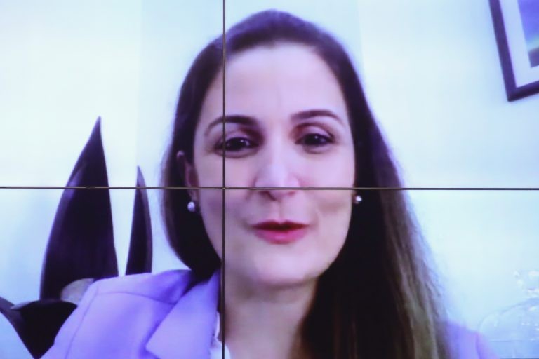 Elisa Altafim: milhares de crianças são mortas ou feridas a cada ano por punição física - (Foto: Edvaldo Rikelme/Câmara dos Deputados)