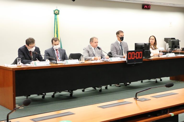 Adriana Ventura vai apresentar as sugestões formalmente à Comissão - (Foto: Wesley Amaral/Câmara dos Deputados)