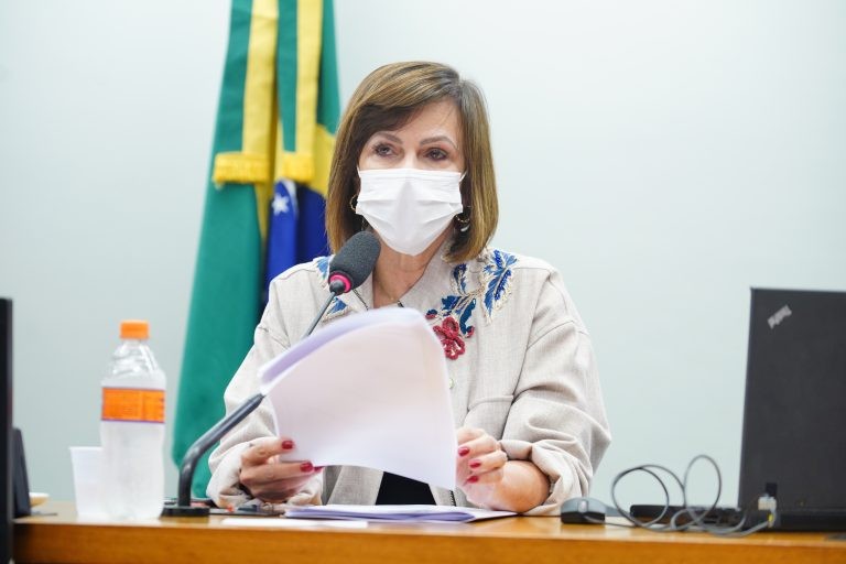 Professora Dorinha: evasão escolar deve ser agravada pela pandemia - (Foto: Will Shutter/Câmara dos Deputados)