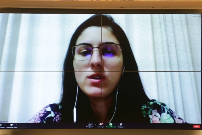 Chris Tonietto, relatora da proposta, apresentou parecer favorável - (Foto: Michel Jesus/Câmara dos Deputados)