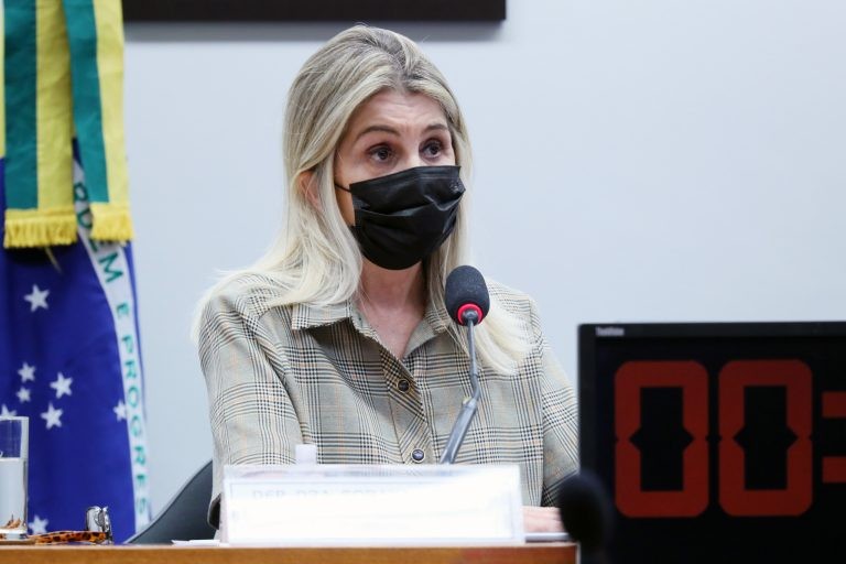Debate foi pedido pela deputada Dra. Soraya Manato - (Foto: Cleia Viana/Câmara dos Deputados)