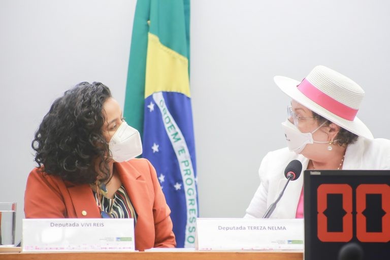 Vivi Reis e Tereza Nelma destacam que mulheres negras foram mais atingidas durante a pandemia - (Foto: Paulo Sérgio/Câmara dos Deputados)