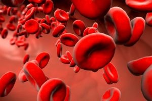 A Doença Falciforme promove uma mutação na hemoglobina, um dos componentes do sangue - (Foto: TV CÂMARA)