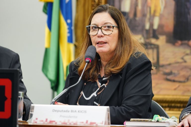 Bia Kicis recomendou a aprovação do projeto - (Foto: Pablo Valadares/Câmara dos Deputados)