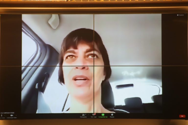 Cely Granja não vê razão para diferenciar as duas doenças - (Foto: Paulo Sérgio/Câmara dos Deputados)